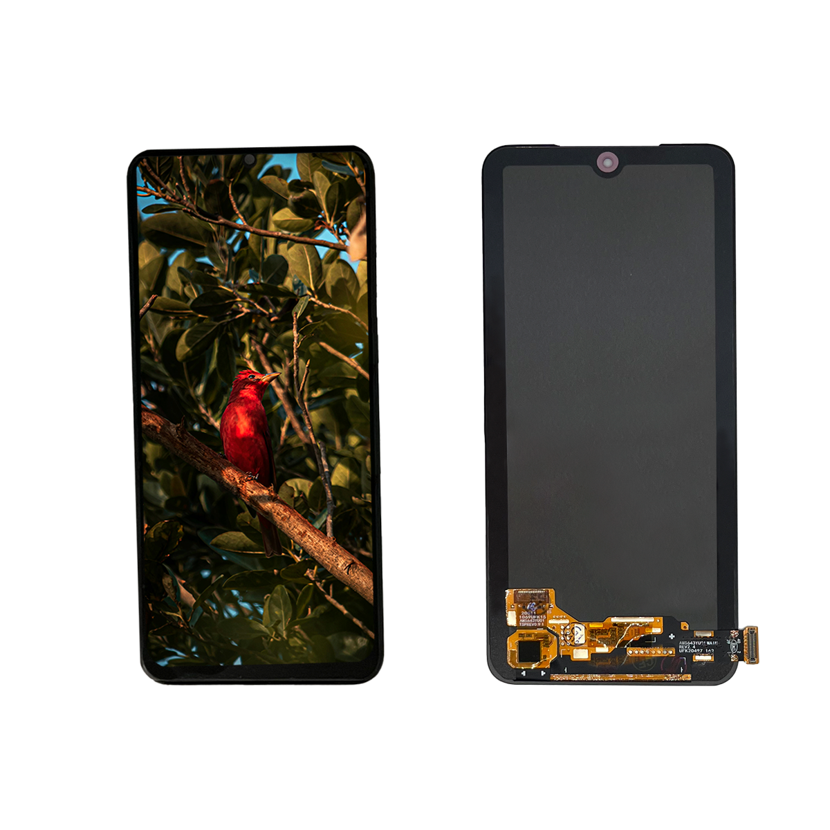Pantalla Compatible Con Xiaomi Poco M5s 2207117bpg Oled