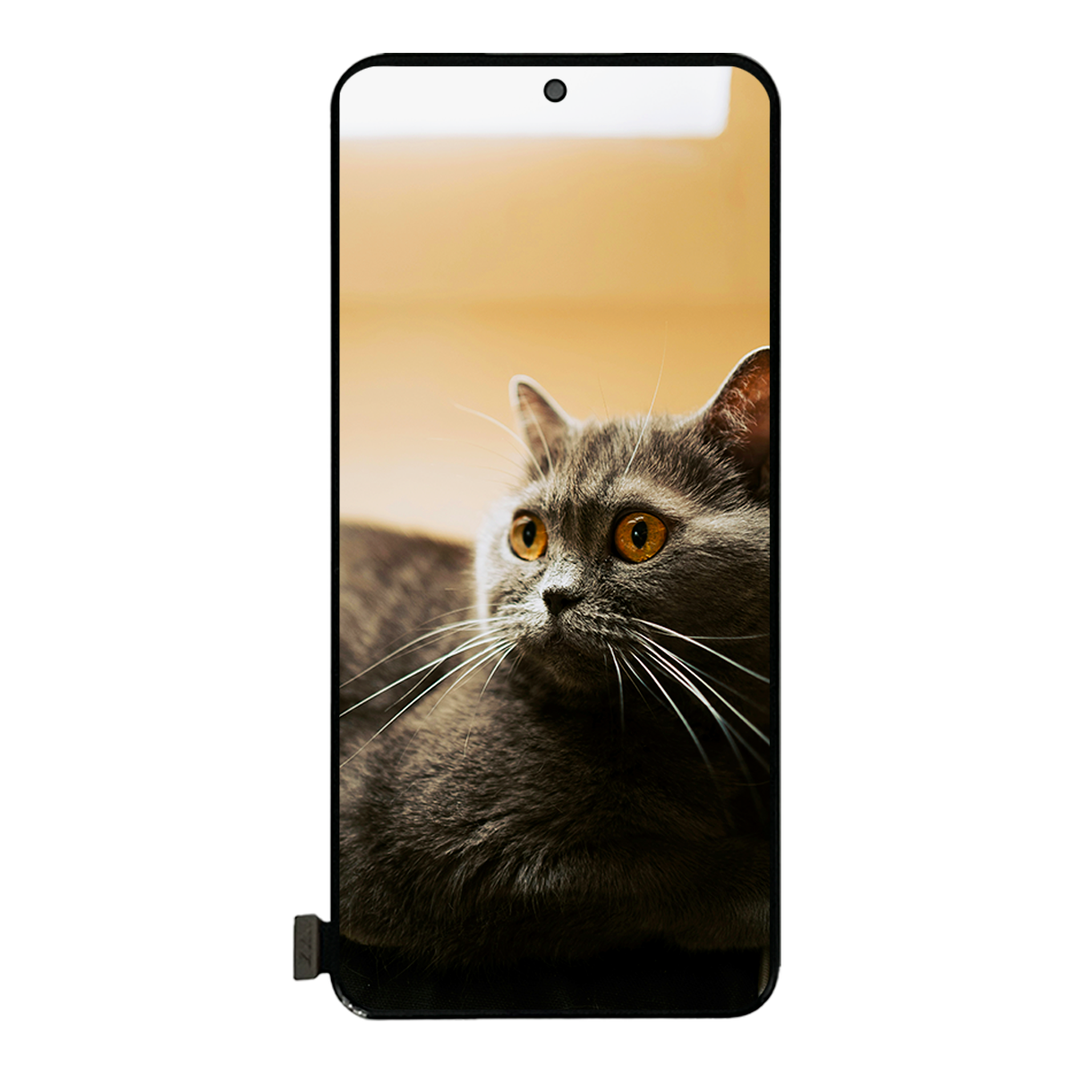 Pantalla Compatible Con Oppo Reno 12 Pro Amoled cph2629
