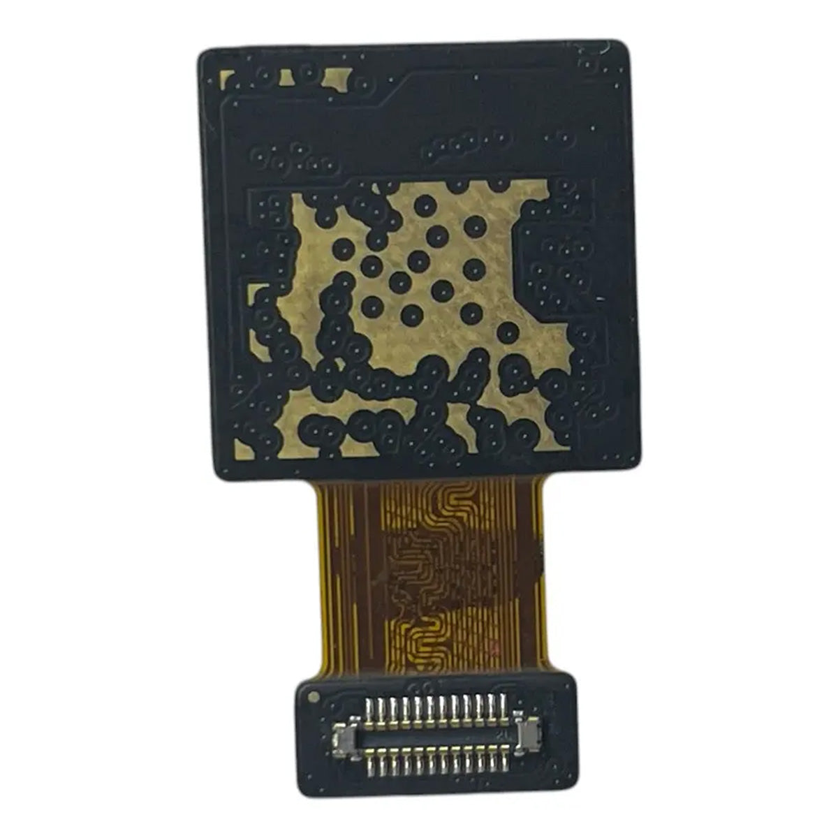 Cámara Trasera compatible con OnePlus Nord CE 3 Lite