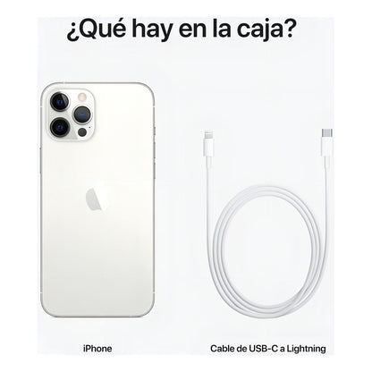 Apple iPhone 12 Pro Max (256 Gb) - Plata