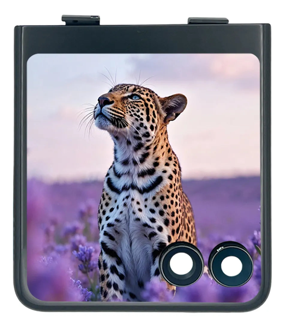 Pantalla compatible con Motorola RAZR 60 Ultra (Interna y Externa)