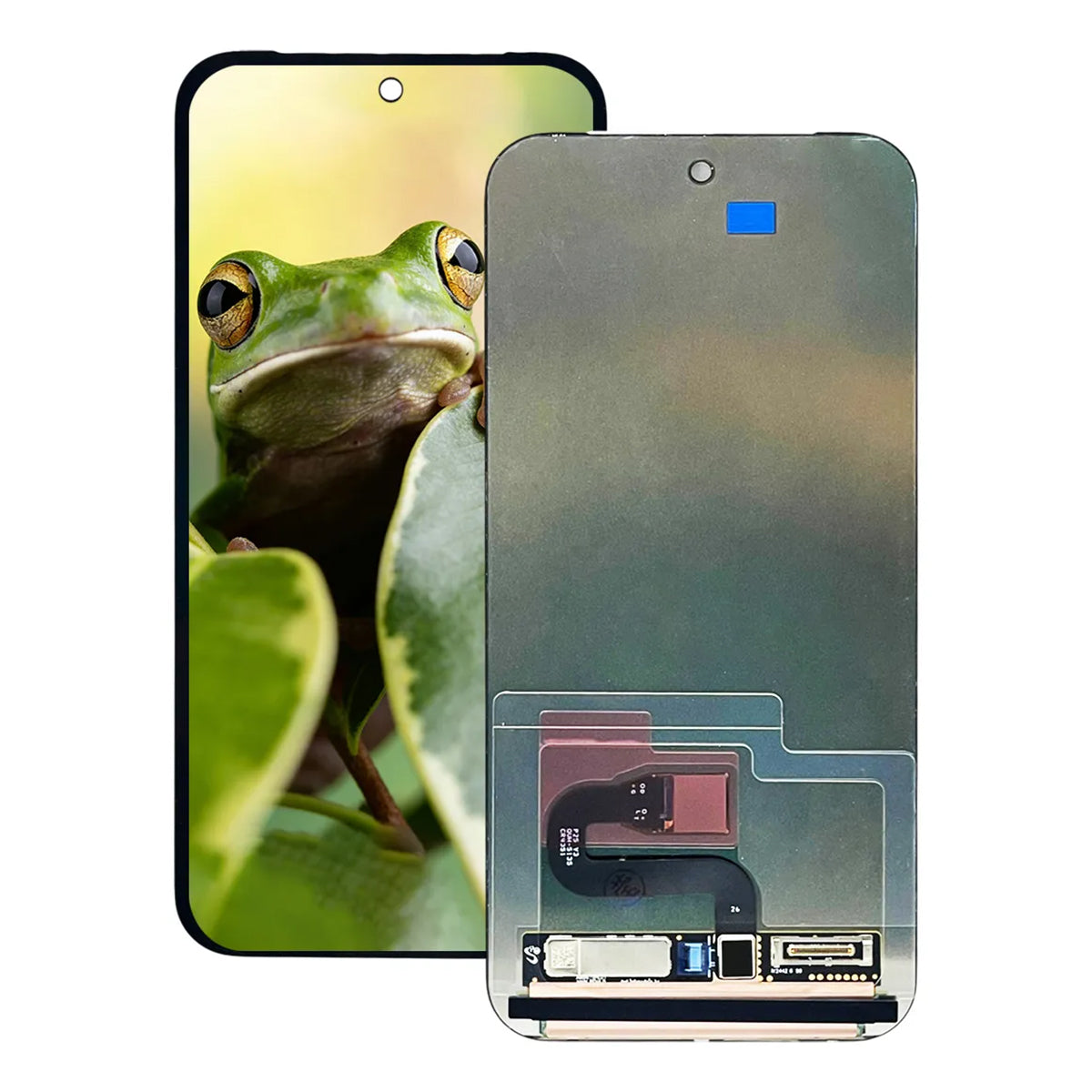 Pantalla XL AMOLED compatible con Google Pixel 10 Pro