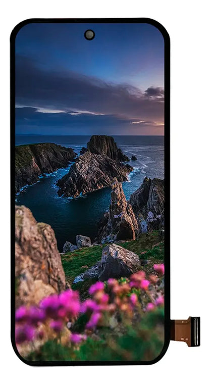 Pantalla compatible con Google Pixel 9 G2YBB (Amoled)