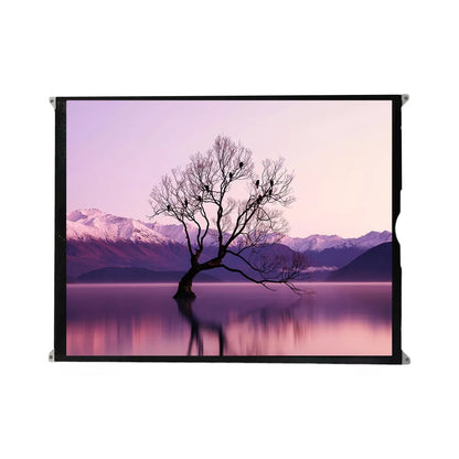 Pantalla LCD compatible con iPad 7 / iPad 8 / iPad 9 (10.2")