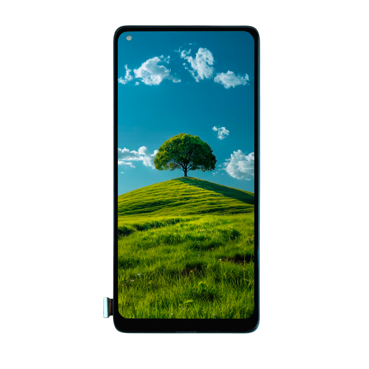 Pantalla Compatible Con Oppo Find X2 Neo Cph2025pdem30