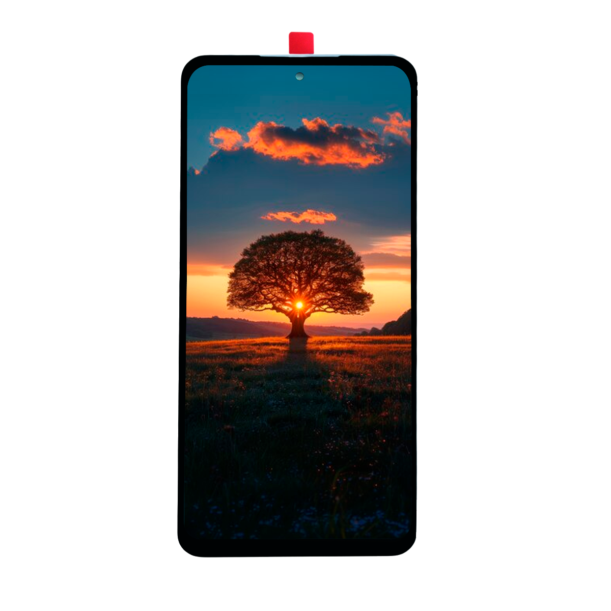 Pantalla Compatible Con Oppo A79 5g Cph2553 Lcd