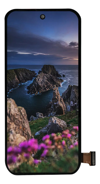 Pantalla compatible con Google Pixel 9 G2YBB Oled