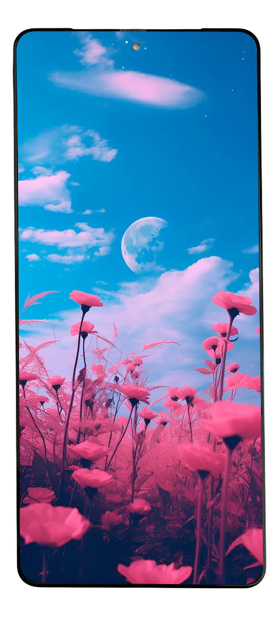 Pantalla compatible con Asus Zenfone 11 Ultra Incell