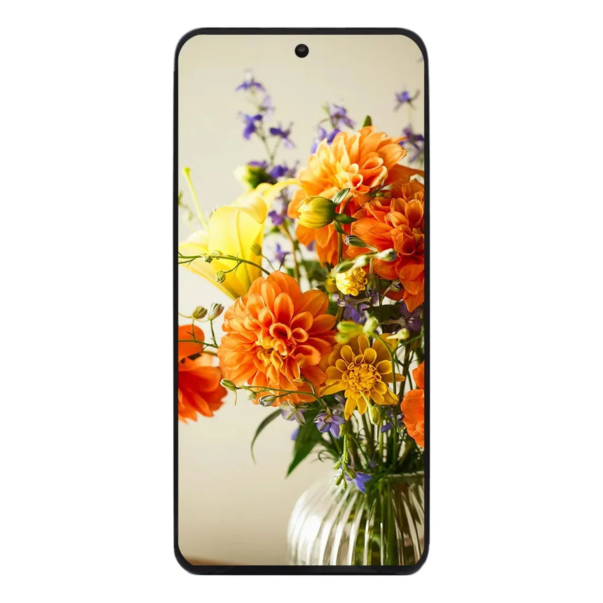 Pantalla OLED con Marco completa Honor 200 (ELI-AN00)