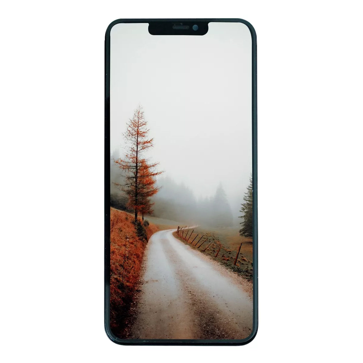 Pantalla iPhone 11 Pro Max Soft OLED (Soporte para IC) – Calidad Élite