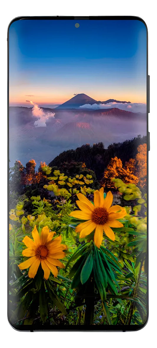 Pantalla con Marco compatible con Samsung S20 Ultra 4G/5G