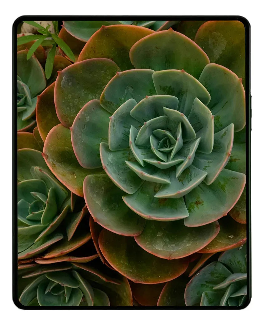 Pantalla con Marco compatible con Samsung Galaxy Z Fold 3 5G (USA)