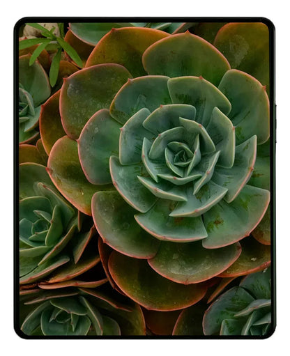 Pantalla con Marco compatible con Samsung Galaxy Z Fold 3 5G (USA)