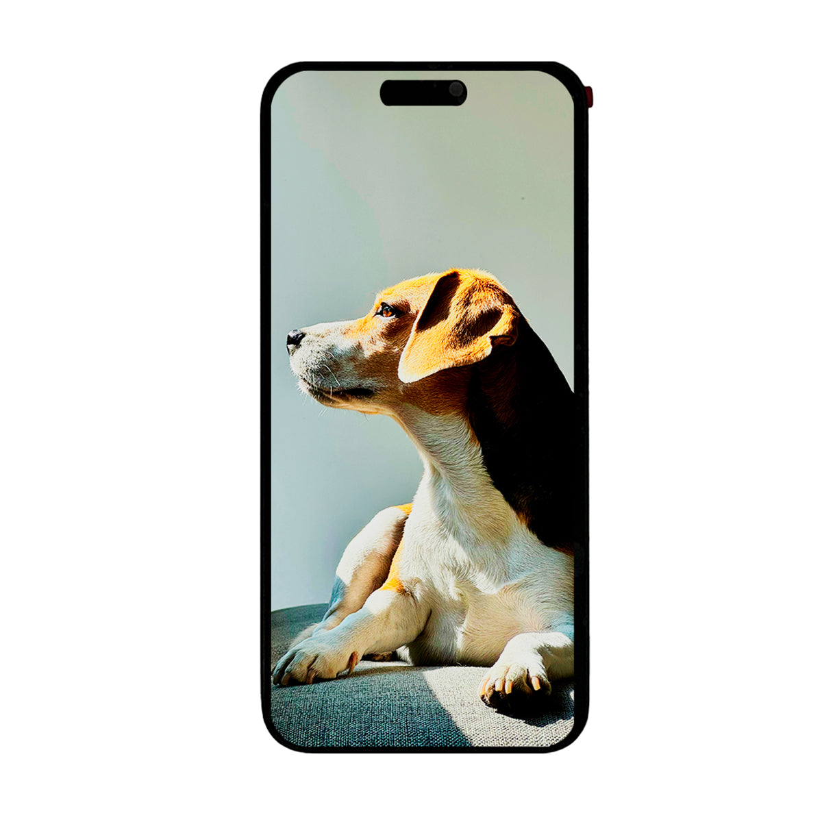 Pantalla compatible con iPhone 15 Pro Max – Calidad Foxconn (Soporte para Trasplante de IC)