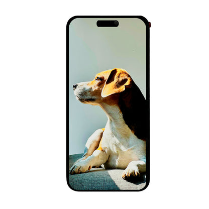 Pantalla compatible con iPhone 15 Pro Max – Calidad Foxconn (Soporte para Trasplante de IC)