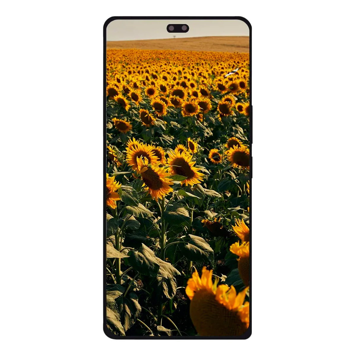 Pantalla OLED con Marco compatible con Honor 200 Pro