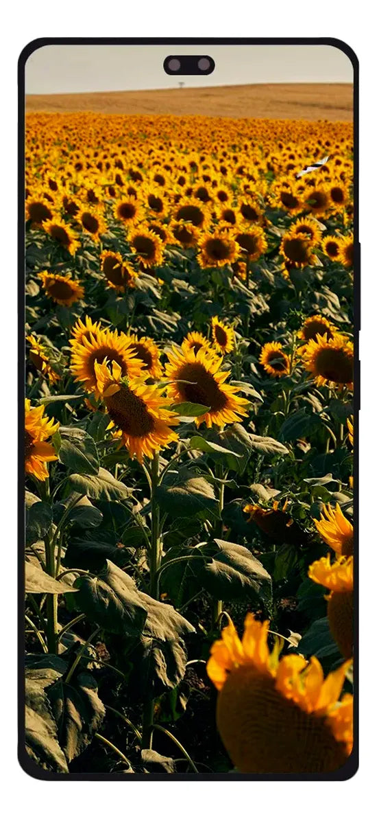 Pantalla con Marco compatible con Honor 200 Pro Oled