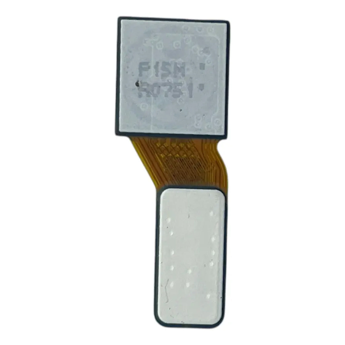 Flexor de Cámara Trasera compatible con Oppo Reno 11 5G